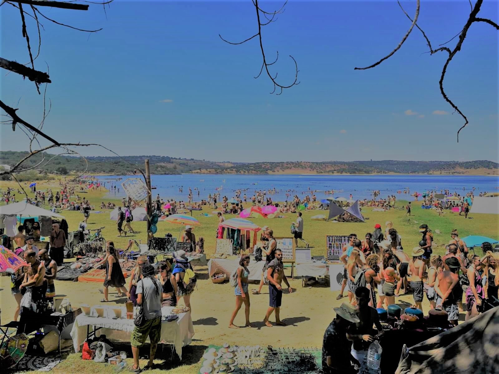 A new experience at Boom Festival